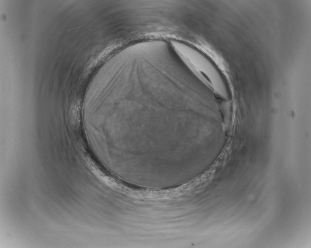 X0000087680009200706011706