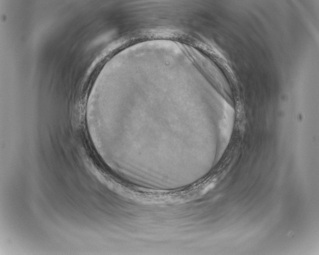 X0000087680012200706011705