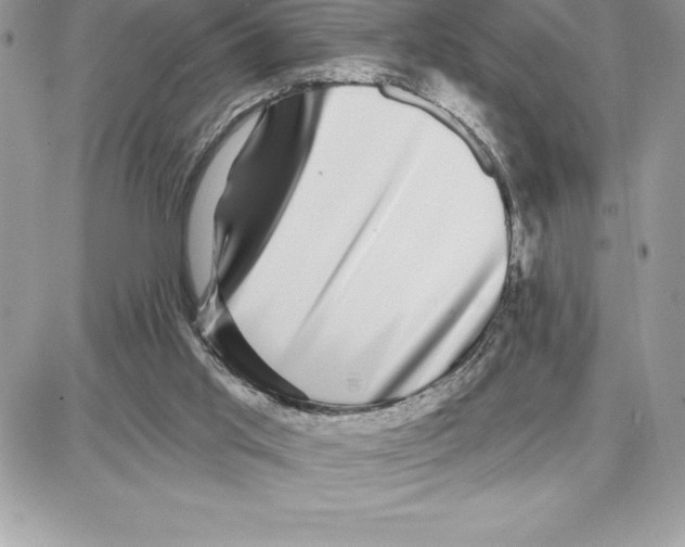 X0000087680013200706011705