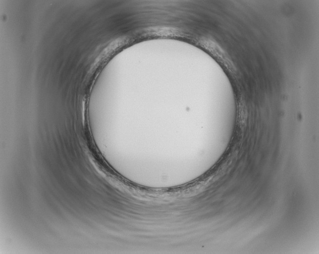 X0000087680014200706011705