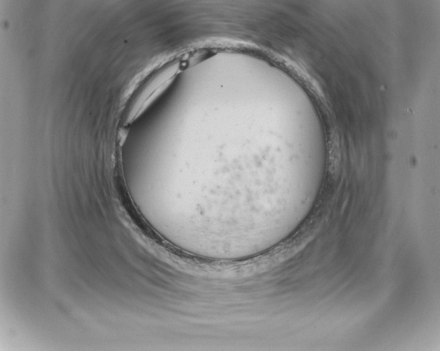 X0000087680015200706011705