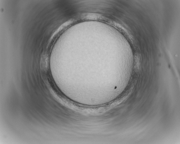 X0000087680016200706011705