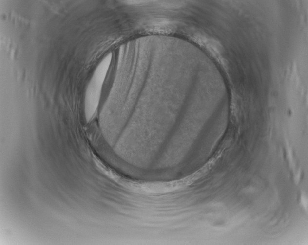 X0000087680017200706011705