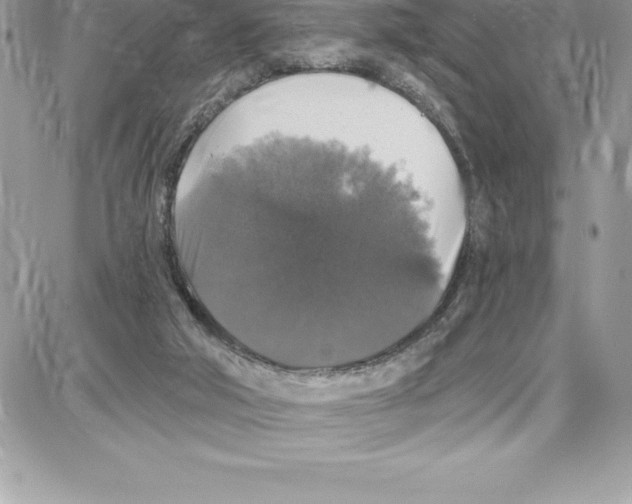 X0000087680018200706011705