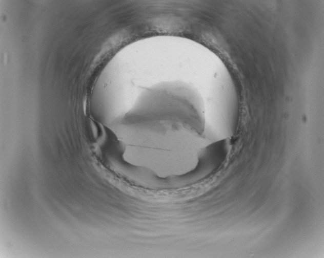 X0000087680019200706011705