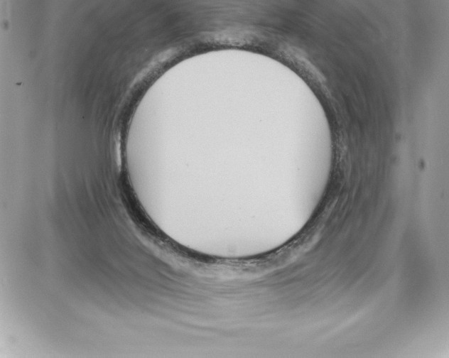 X0000087680020200706011705