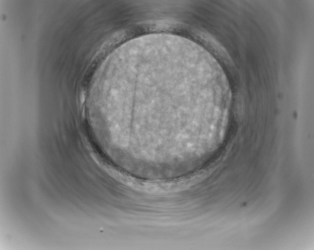 X0000087680022200706011705