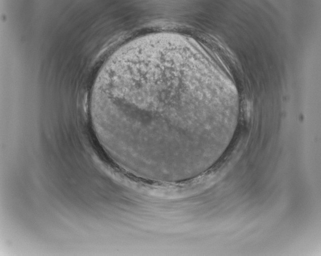 X0000087680024200706011705