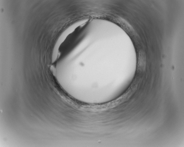 X0000087680025200706011705