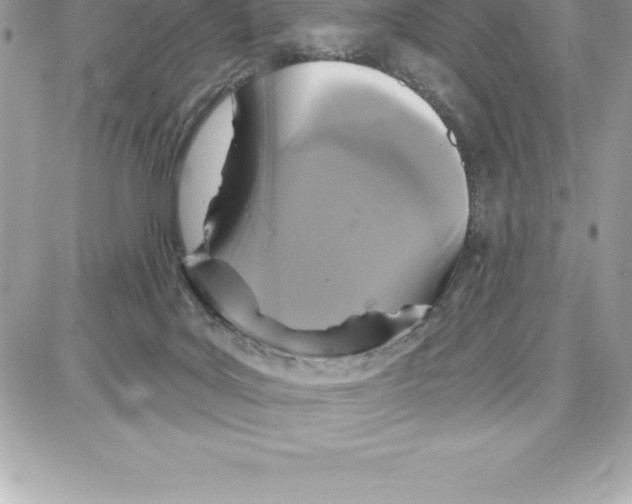 X0000087680027200706011705