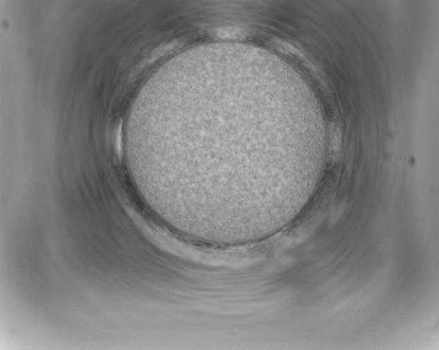 X0000087680028200706011705