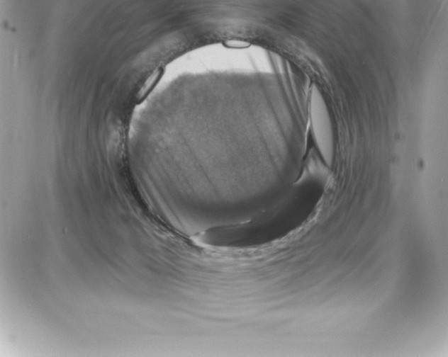 X0000087680029200706011705