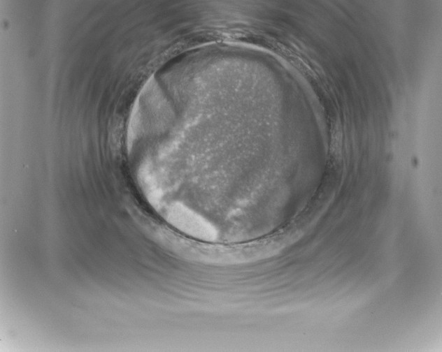 X0000087680030200706011705