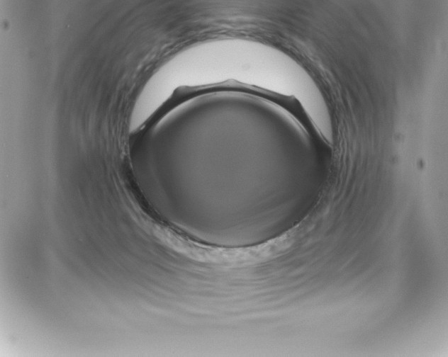 X0000087680031200706011705