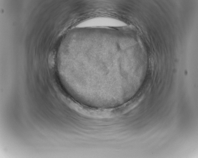 X0000087680032200706011705