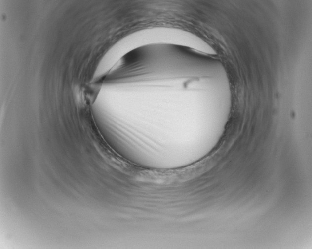 X0000087680033200706011705