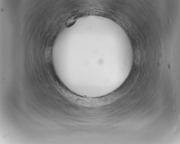 X0000087680034200706011705