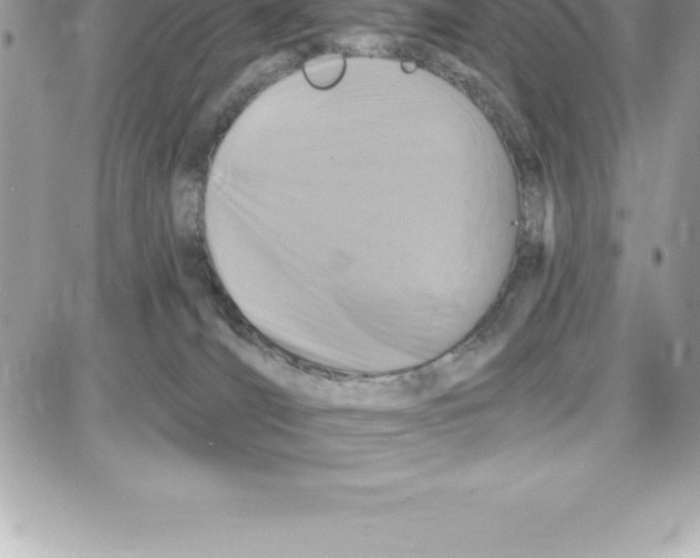 X0000087680036200706011705