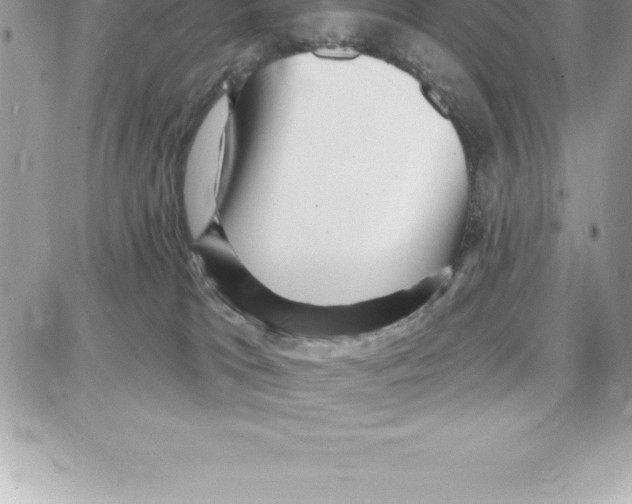 X0000087680037200706011705