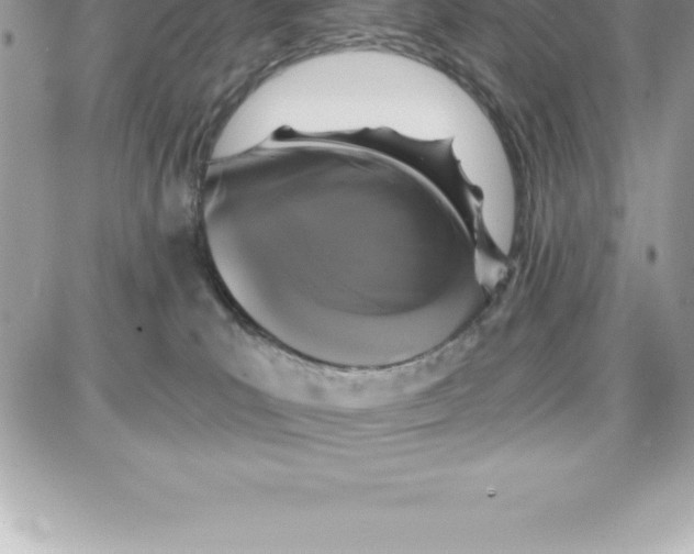 X0000087680039200706011705