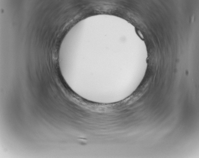 X0000087680040200706011705