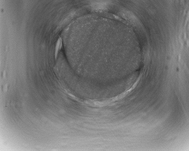 X0000087680041200706011705