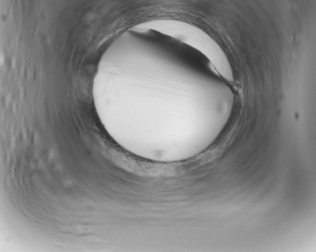 X0000087680044200706011705