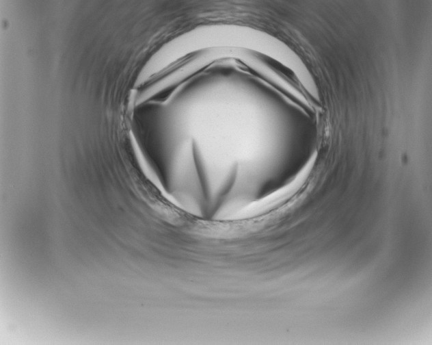 X0000087680045200706011705