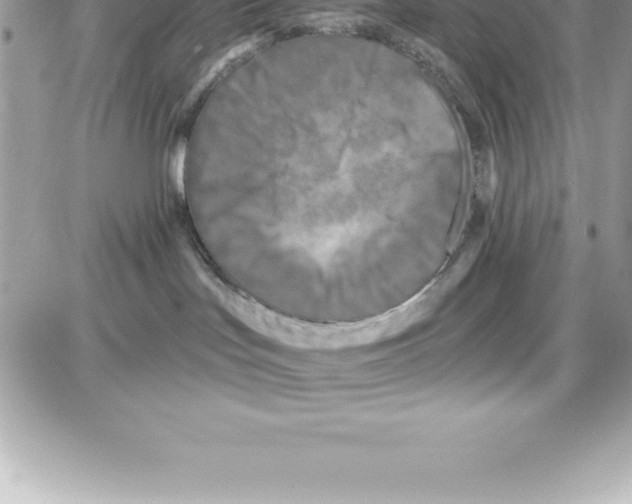 X0000087680047200706011705