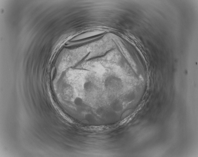 X0000087680049200706011704