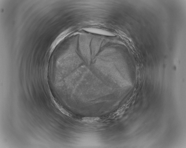 X0000087680051200706011704