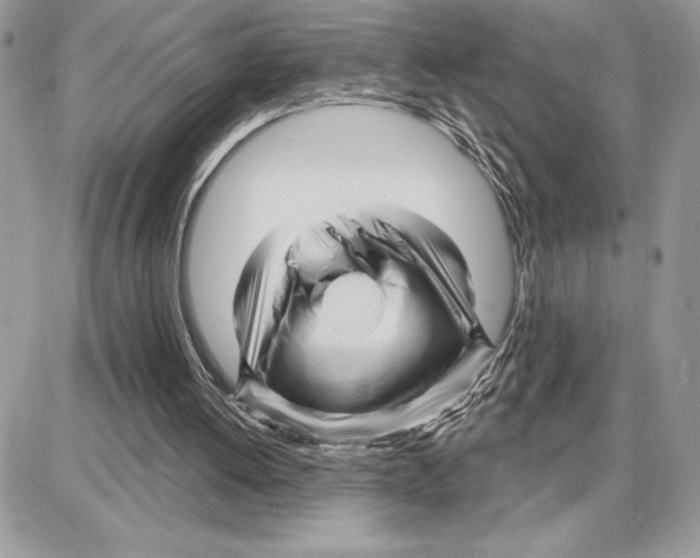 X0000087680052200706011704