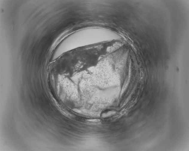 X0000087680053200706011704