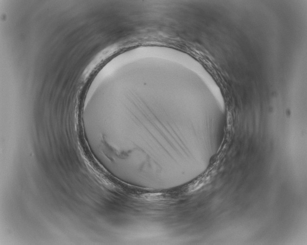 X0000087680054200706011704