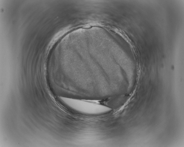 X0000087680055200706011704