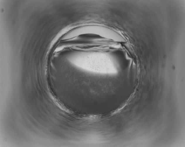 X0000087680056200706011704