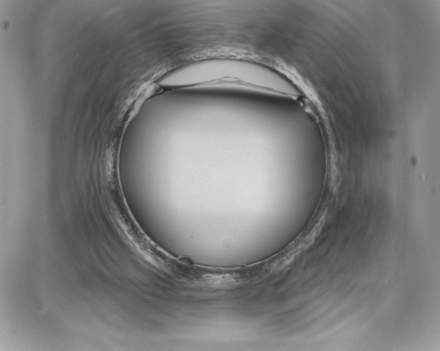 X0000087680057200706011704