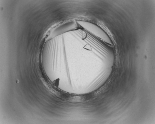 X0000087680058200706011704