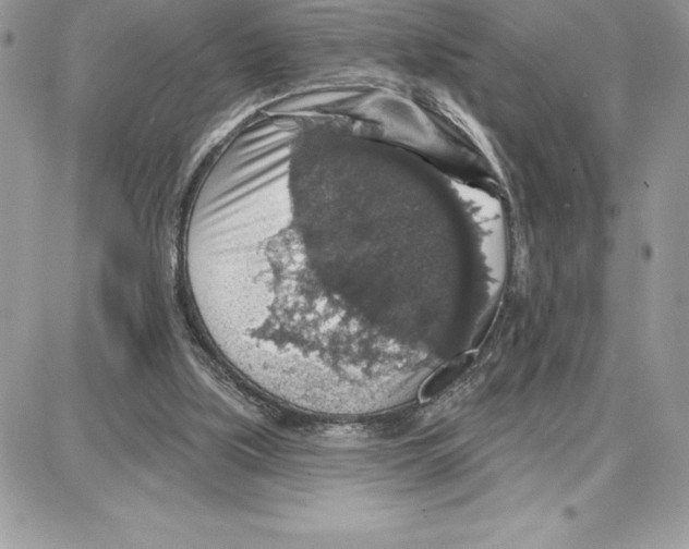 X0000087680059200706011704