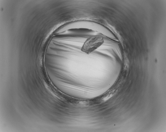 X0000087680060200706011704