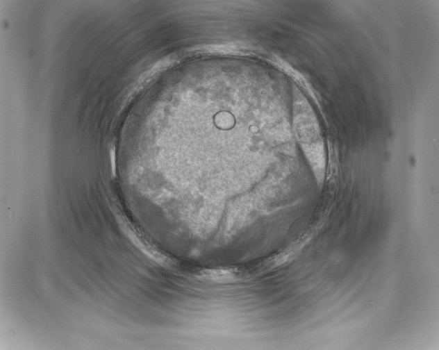 X0000087680061200706011704