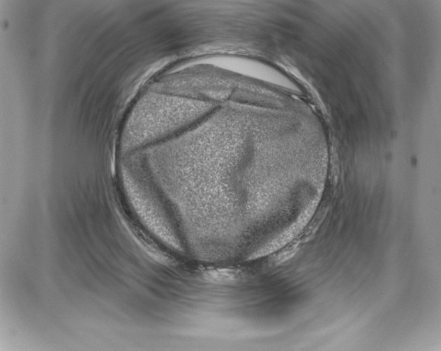 X0000087680062200706011704