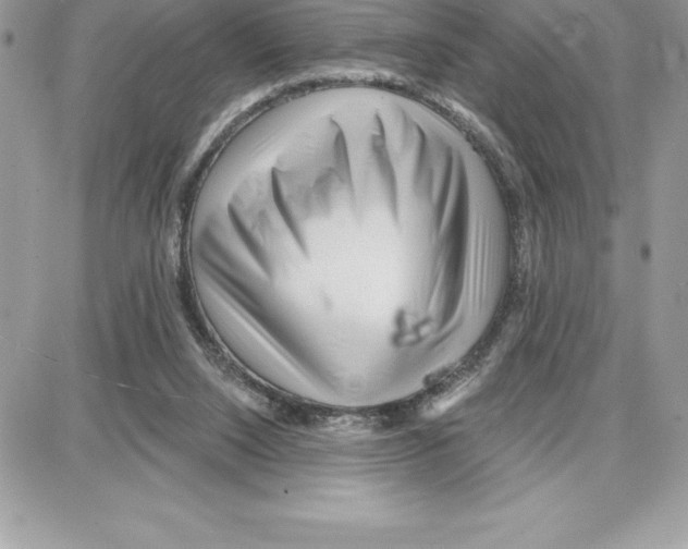 X0000087680064200706011704