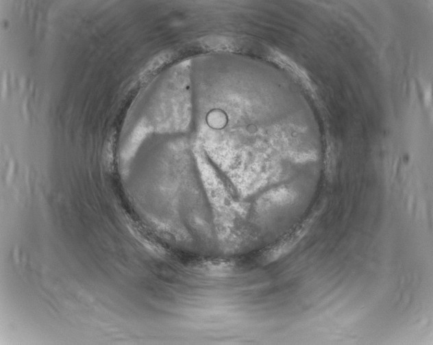 X0000087680065200706011704