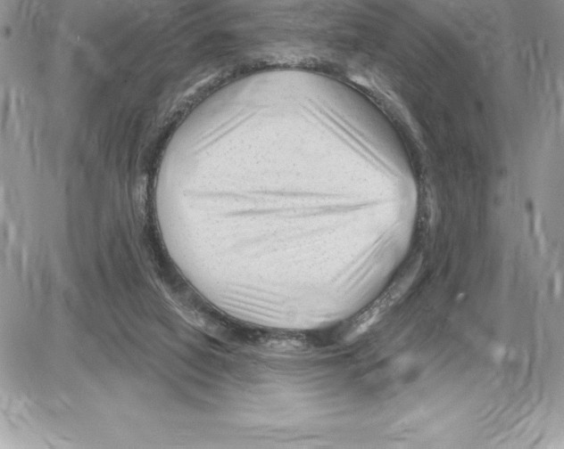 X0000087680066200706011704