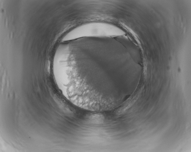 X0000087680067200706011704