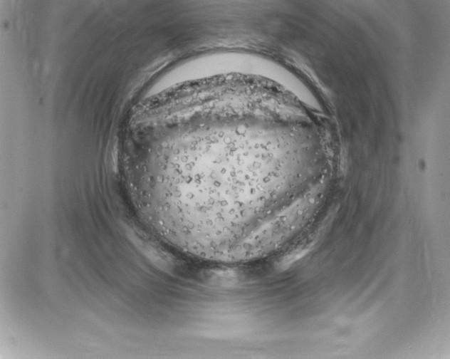 X0000087680068200706011704