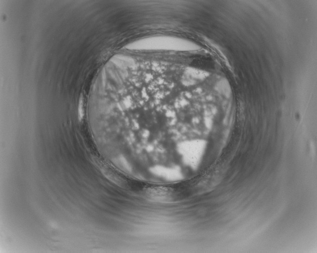 X0000087680069200706011704