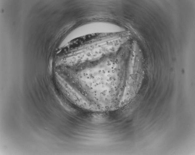 X0000087680070200706011704