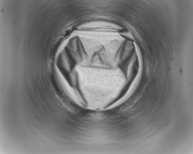 X0000087680071200706011704